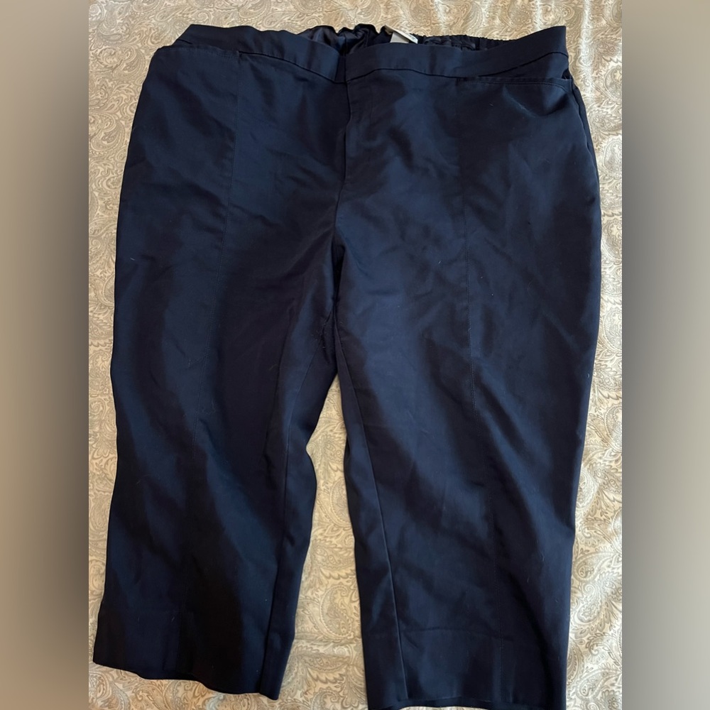 Dress style capri pants
